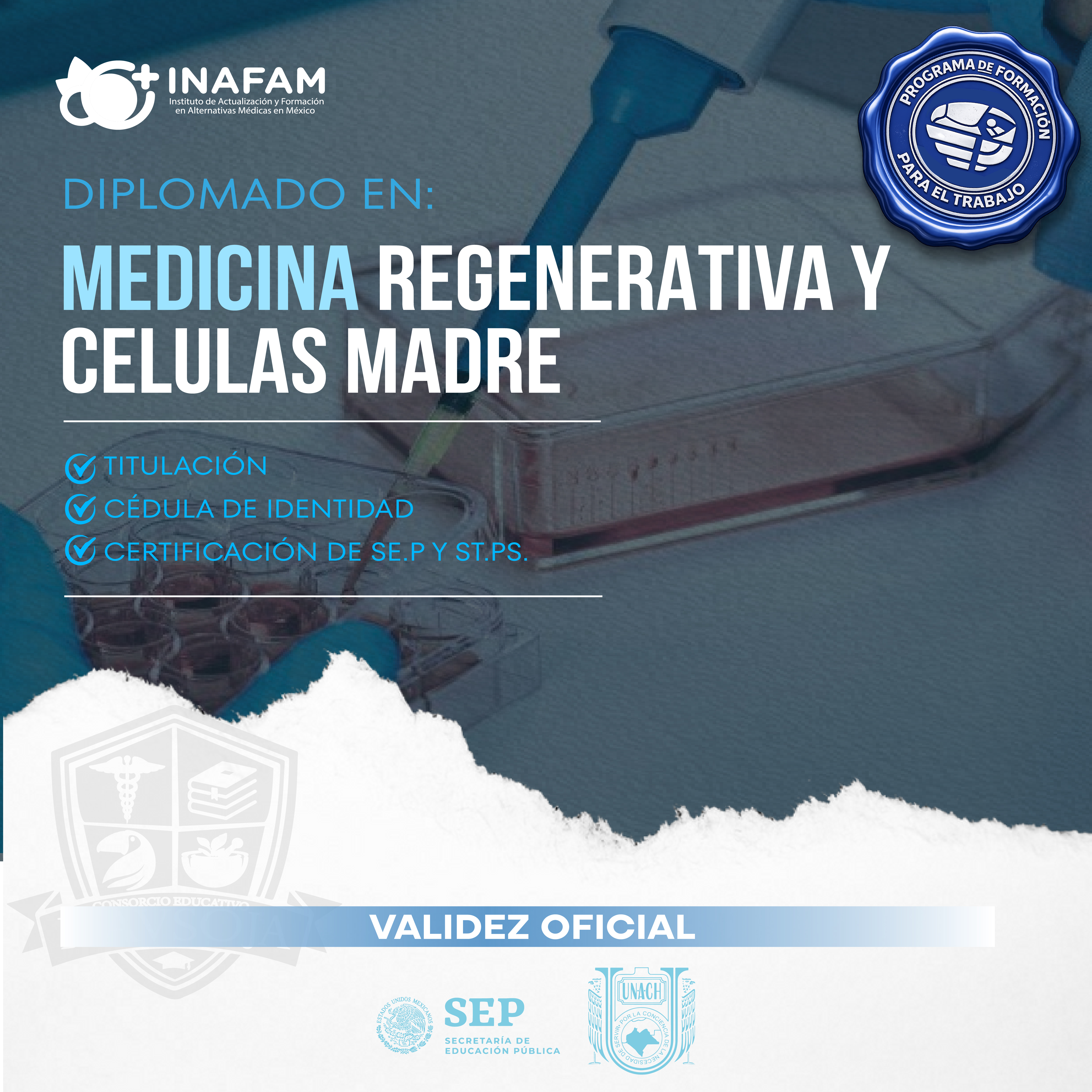 MEDICINA REGENERATIVA Y CELULAS MADRE